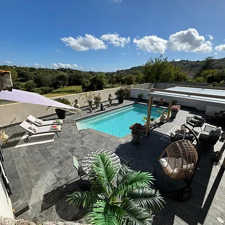 Studio, Piscine, 10 Min Des Plages, Ajaccio, Corse Du Sud, 阿帕涅托